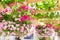 Baskets in a hanging flower garden on a sunny day.