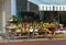 Baskets and pots with plants on the wooden benches