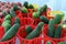 Baskets of Summer Cucumbers