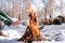 Basking near a campfire in a snowy birch forest