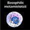 Basophils structure. Basophils blood cells. White blood cells. leukocytes. Infographics. Vector illustration on isolated