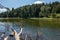 The bassa lake of oles in the Aran Valley