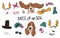 Basset Hound Dog Couple Portraits With Accessories