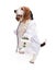 Basset Hound Dog Dressed as a Veterinarian