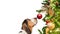 Basset Hound Dog Looking At Christmas Tree