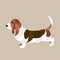 Basset hound Flat style vector