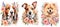 Basset Hound, Jack Russell Terrier, Chow chow dogs floral portraits