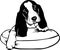 Basset Hound Puppy Illustration