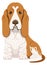 Basset hound sitting. Funny dog breed icon