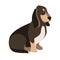 Basset hound vector illustration style Flat
