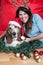 Basset Hound wears santa hat at Christmas