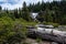 Bassi Falls viewed from the trail