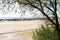 Bassin d`Arcachon french coast beach with pine tree