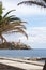 Bastia, skyline, Citadel, old town, palm tree, Corsica, Corse, Cap Corse, Haute Corse, France, Europe, island, summer