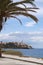 Bastia, skyline, Citadel, old town, palm tree, Corsica, Corse, Cap Corse, Haute Corse, France, Europe, island, summer