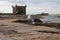 Bastion Borj El Barmil with seagull in port of Essouira