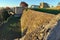 Bastions and ramparts of the Castle of Abrantes, Portugal