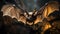 Bat beauty in nature, nice dark background