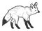 Bat-eared fox, African animal. Sketch scratch board imitation. Black and white.