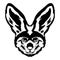 Bat-eared fox cute cartoon face vector iilustration in hand drawn style