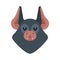 Bat face isolated. Night animals vampire. Vector illustration