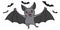 Bat Halloween icon Dracula cartoon illustration doodle