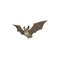 Bat icon, pest control extermination, disinfection