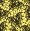 Bat. Seamless pattern. Lace pattern. Yellow background.