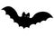 Bat. Silhouette. Halloween symbol. Glowing eyes. Vector illustration. Vampire animal. Isolated white background.