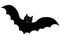 Bat. Silhouette. Terrible toothy. Glowing eyes. Vector illustration. Isolated white background. Flat style. Halloween symbol.