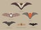 Bat Species Sizes Comparison Cartoon Vector Illustration