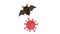 Bat Virus icon animation for medical motion graphics