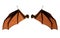 Bat Wings, Costume Wings with Clipping Path.