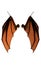 Bat Wings, Costume Wings with Clipping Path.