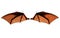 Bat Wings, Costume Wings with Clipping Path.