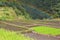 Batad, Philippines. Rainbow in the background