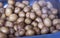 Batatas Solanum tuberosum sem vapor fresco para preparaÃ§Ã£o de saladas