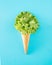 Batavia lettuce in an ice cream cone. Spring concept on a blue background