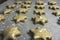 Batch of frosted cinnamon star cookies ready to be baked - horizontal