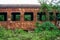 A batch of rusty train carriages abandoned in the forest