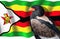 Bateleur eagle on front of Zimbabwe flag
