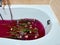 Bath with crimson red purple very peri water with chrysanthemum flowers. Chrysanthemum flower on water surface with