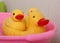 Bath ducks