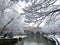 Bath England. Snow scene  and canal