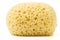 Bath sponge