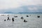 Bather`s silhouettes in Lake Balaton, Hungary