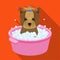 Bathing pet puppy in a bowl. dog,Pet,dog care single icon in flat style vector symbol stock illustration web.