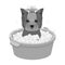 Bathing pet puppy in a bowl. dog,Pet,dog care single icon in monochromt style vector symbol stock illustration web.