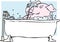Bathing pig