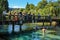 Bathing in a scenic river. Hamurana Springs, New Zealand